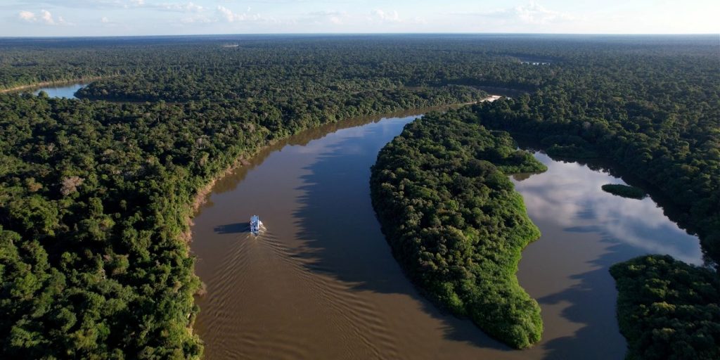 Ipaam_Reducao-desmatamento-Amazonas-em-2025_MapBiomas_Credito-da-foto-1_Reproducao-Internet-28-05-2026-1024×512-1